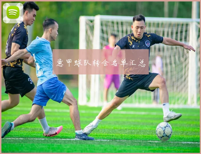 意甲球队转会名单汇总