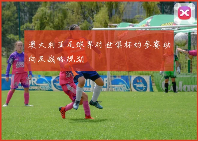 澳大利亚足球界对世俱杯的参赛动向及战略规划