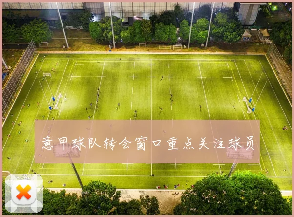意甲球队转会窗口重点关注球员